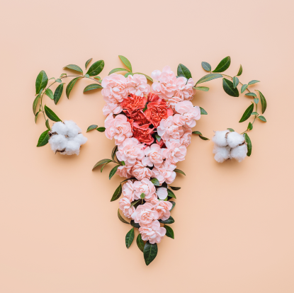 Legal Expert Kim Wehle Breaks Down the Overturning of Roe v. Wade