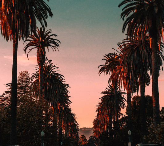 Our Healthy Guide to Studio City