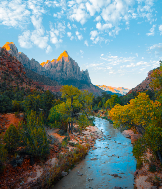 Why Intersectional Environmentalism Is Vital