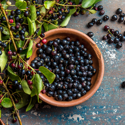 All About Maqui Berry