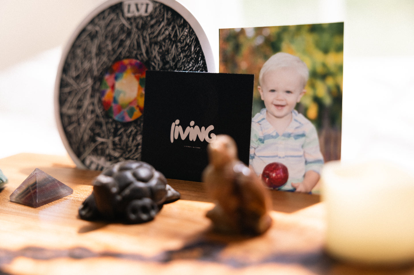 The Living Altars & Tracy Anderson Children’s Bundle: Where Wonder Meets Ritual