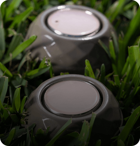 Results Start in 
the Palm of Your Hand