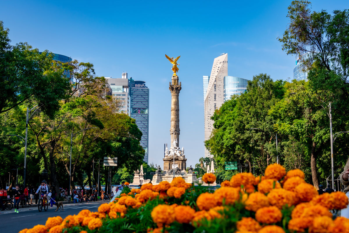 Mexico City > Coming Soon