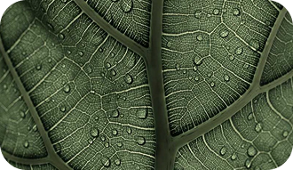 Return to nature, return to you.