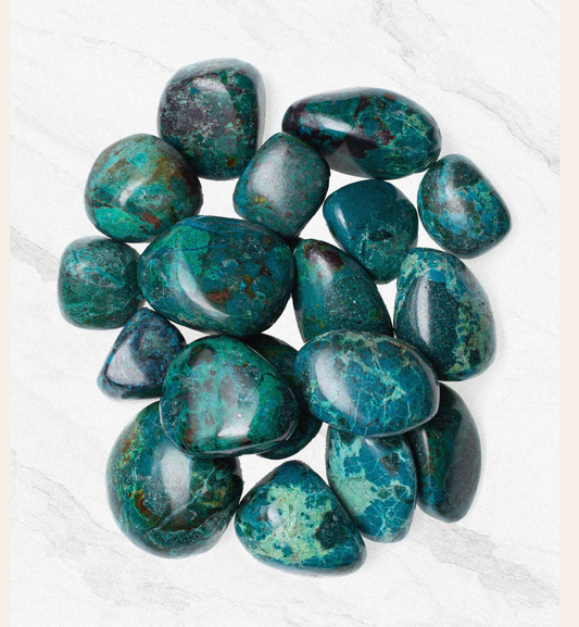 The Living Altars & Tracy Anderson Children’s Bundle: Where Wonder Meets Ritual